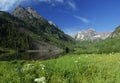 Spring meadow near Maroon Bells in Colorado Royalty Free Stock Photo