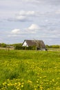 Spring meadows around a rural house Royalty Free Stock Photo