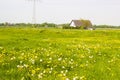 Spring meadows around a rural house Royalty Free Stock Photo