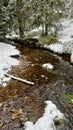 Spring melt water flows down the mountain slope in the spring snow-capped Jizera Mountains in Poland Royalty Free Stock Photo