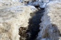 In the spring of melting snow runs murmuring stream Royalty Free Stock Photo