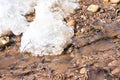 spring melts snow the streams of water run along the ground Royalty Free Stock Photo