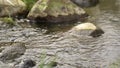 Spring meltwater flows among the stones.