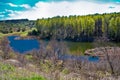 The spring midday sun illuminates the wood on the bank of the lake Royalty Free Stock Photo