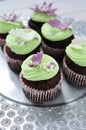 Spring mint cupcakes