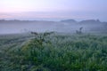 Spring misty landscape in the countryside