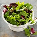 Spring mix salad leaves in a collander