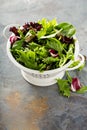 Spring mix salad leaves in a collander