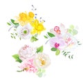 Spring mixed bouquets vector design set. Royalty Free Stock Photo