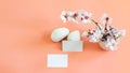 Spring mock up template with business cards, almond blooming branch and white stones. Pink banner background with space for your Royalty Free Stock Photo