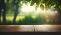 Spring mockup background. Blank wooden tabletop in front, blank space to display graphics.