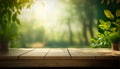 Spring mockup background. Blank wooden tabletop in front, blank space to display graphics.