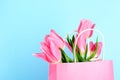 Spring mood concept. Pink flowers arrangement with a lot of copy space for text Royalty Free Stock Photo