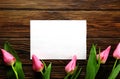 Spring mood concept. Pink flowers arrangement with a lot of copy space for text Royalty Free Stock Photo