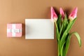 Spring mood concept. Pink flowers arrangement with a lot of copy space for text Royalty Free Stock Photo