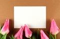 Spring mood concept. Pink flowers arrangement with a lot of copy space for text Royalty Free Stock Photo