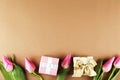 Spring mood concept. Pink flowers arrangement with a lot of copy space for text Royalty Free Stock Photo