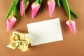 Spring mood concept. Pink flowers arrangement with a lot of copy space for text Royalty Free Stock Photo