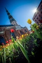 Spring mood in Old Riga