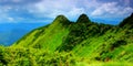 Spring morning dawn landscape, picturesque blooming flowers on meadow of mountain on background green hills and valley covered for Royalty Free Stock Photo