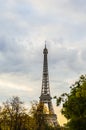 Spring morning with Eiffel Tower, Paris, France Royalty Free Stock Photo
