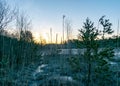 spring morning, evening, swamp lake shore, swamp vegetation at the end of winter, early spring Royalty Free Stock Photo