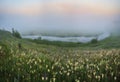 Spring morning. foggy sunrise in the river valley Royalty Free Stock Photo