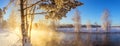 Spring morning landscape with fog and a forest, river, Russia, Ural