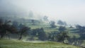 Spring morning mist in the vast Rhodopes