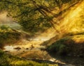 Morning. a picturesque foggy dawn by the river. Sun rays Royalty Free Stock Photo