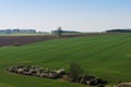 Spring morning rural country landscape with plowed agricultural fields on hills, trees and groves in valleys. Royalty Free Stock Photo