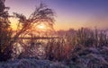 Spring morning sunrise at outdoor nature. Scenic landscape of colorful frosty spring morning. Dawn over wild lake