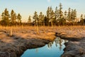 Salt marsh water reflections Royalty Free Stock Photo