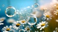 Spring motive light background and wallpaper with chamomiles, soap bubbles and bokeh, neural network generated