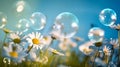 Spring motive light background and wallpaper with chamomiles, soap bubbles and bokeh, neural network generated