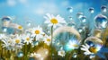 Spring motive light background and wallpaper with chamomiles, soap bubbles and bokeh, neural network generated photorealistic