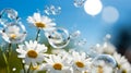 Spring motive light background and wallpaper with chamomiles, soap bubbles and bokeh, neural network generated photorealistic