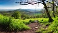 Spring mountain green panorama from peak Zibrica, Tribec - Nitra Royalty Free Stock Photo