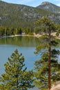 Spring Mountain Lake - Lily Lake, Rocky Mountain National Park Royalty Free Stock Photo