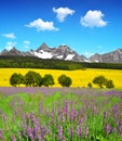 Spring mountain landscape Royalty Free Stock Photo