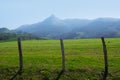 Spring mountain landscape fence on a green meadow, Lazkaomendi