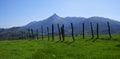 Spring mountain landscape fence on a green meadow, Lazkaomendi