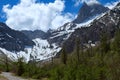 Spring mountain landscape with green forest and snow covered mountains