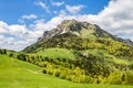 Spring mountain landscape with stony Big Rozsutec peak