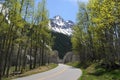 Spring Mountain Road Royalty Free Stock Photo