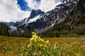 Spring mountain scenic with cowslip flowers (Primula veris) focus on foreground blur background