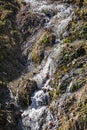 spring mountain stream on a slope on a sunny day. Royalty Free Stock Photo