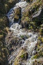 spring mountain stream on a slope on a sunny day. Royalty Free Stock Photo