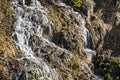 spring mountain stream on a slope on a sunny day. Royalty Free Stock Photo