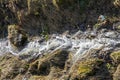 spring mountain stream on a sunny day. Royalty Free Stock Photo